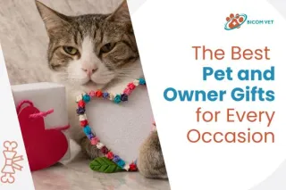Unique Pet and Owner Gifts for Every Special Moment