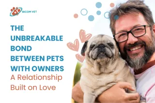 Pets with Owners: The Unbreakable Bond Explained