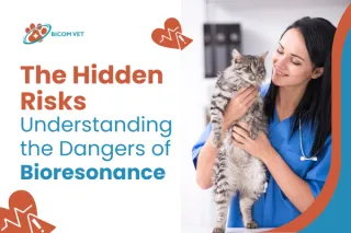 Bioresonance Therapy Near Me – Natural Healing