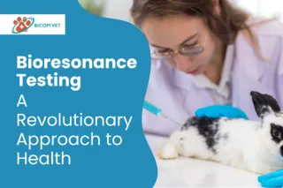 Bioresonance Testing: The Future of Holistic Health