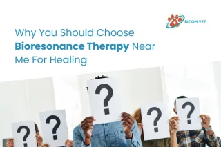 Top Bioresonance Therapy Near Me for Natural Healing