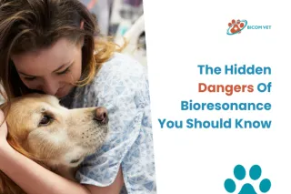 Dangers of Bioresonance: What You Must Know Today