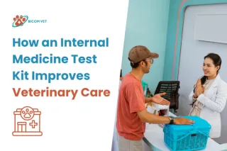 Internal Medicine Test Kit for Veterinary Use | Reliable & Easy