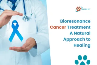 Bioresonance Cancer Treatment: A Natural Healing Option
