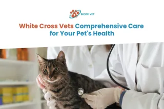White Cross Vets: Trusted Veterinary Services Near You