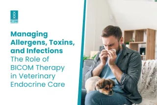 Managing Allergens, Toxins, and Infections: The Role of BICOM Therapy in Veterinary Endocrine Care