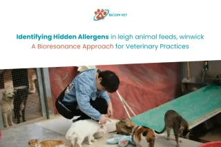 Leigh Animal Feeds Winwick Allergen Testing | Bioresonance Vet