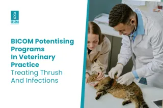 BICOM Potentising Programs for Veterinary Thrush Treatment