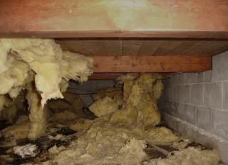 Why Spring Is the Best Time to Upgrade Your Home’s Insulation in Arizona