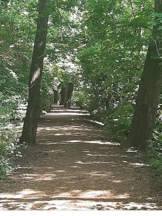 🌳 Raynes Park Outdoors: The Best Green Spaces to Explore