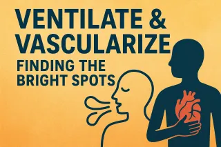 Ventilate & Vascularize: Finding the Bright Spotsw Blog Post