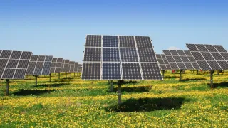 AGRIVOLTAICO: CONNUBIO TRA FOTOVOLTAICO E AGRICOLTURA