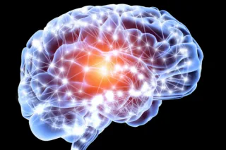 How BWRT® (BrainWorking Recursive Therapy®) Works