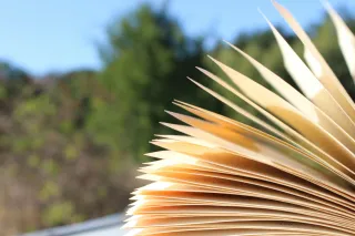Boost Your Story's Momentum with Narrative Drive