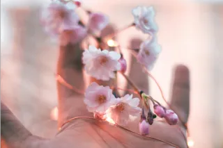 Flourishing Through Resilience and Strengths Development