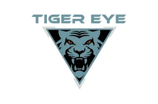 Case Study: Tiger Eye MMA