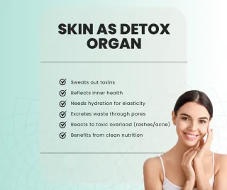 Skin as a Natural Detox Organ