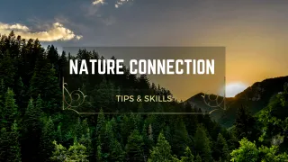 Our Connection With Nature