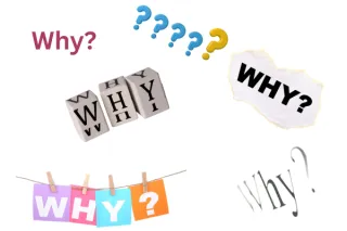 Why do we do open houses?