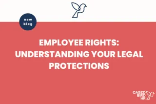 Employee Rights: Understanding Your Legal Protections