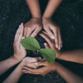 Understanding Your Carbon Footprint at Work: Personal Strategies for a Greener Career