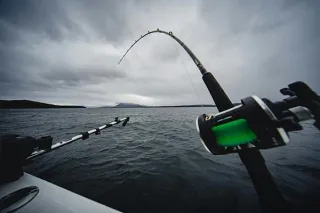 How Much Does a Cabo Fishing Charter Cost? Here’s What to Know