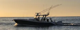 2025 Los Cabos Fishing Calendar | Best Time for Marlin, Tuna & Dorado