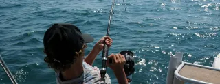 Cabo Yellowfin Tuna Fishing 2025 | Peak Season & Expert Tips