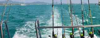 Cabo Inshore vs Offshore Fishing | What’s Best for Your 2025 Trip?