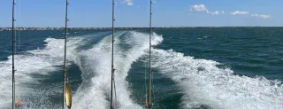 Luxury Cabo Fishing Charters 2025 | What to Expect Aboard Epic Ventures
