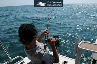 Why Marlin Fishing in Cabo Should Be on Your Bucket List