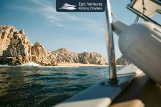 Why a Cabo Fishing Charter Should Be Part of Your Vacation