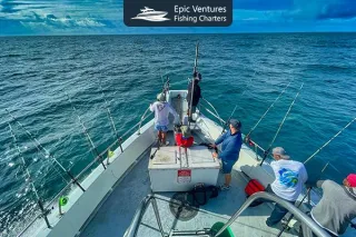 Hooked in Paradise: Why Cabo Fishing Charters Are Unforgettable