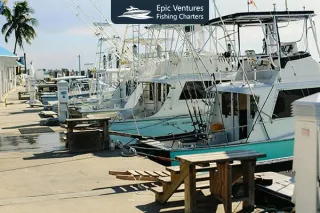 Cabo Fishing Boats: Comfort, Adventure, and Big-Game Fishing Combined