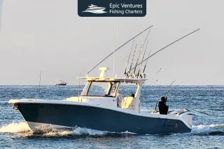 Charter Fishing in Cabo: The Ultimate Sportfishing Adventure