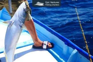 From Roosterfish to Jacks: The Ultimate Cabo Fly Fishing Experience