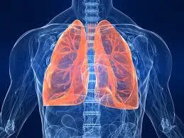 My Lungs Do What...?
