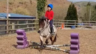 Children return to their riding sessions after Summer Break