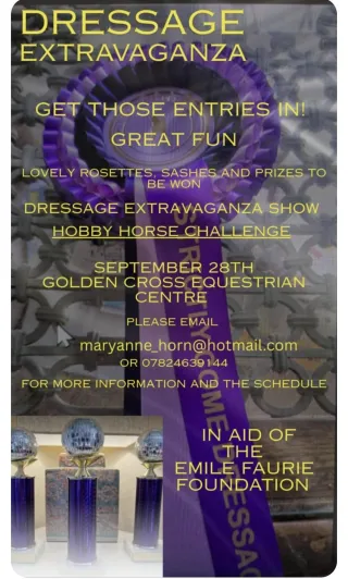 Dressage Extravaganza 2025