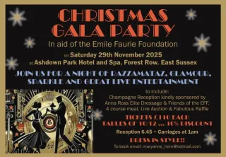 Christmas Gala Party 2025