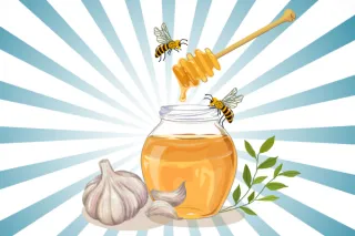 Discover the Power of Garlic Fermented in Honey