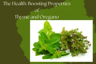 The Health-Boosting Properties of Thyme and Oregano