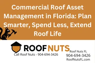 Roof Asset Management for Commercial Properties in Florida