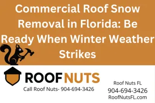 Commercial Roof Snow Removal Service