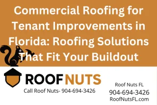 Tenant Improvement Roofing Services for Commercial Buildings