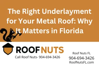 Best Underlayment for Metal Roofs in Florida | Roof Repair & Replacement Experts