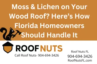 How to Safely Remove Moss and Lichen from Wood Roofs in Florida