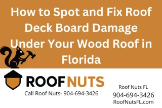 Wood Roof Deck Board Repair in Florida: What Homeowners Should Know