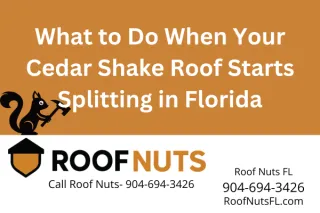 Split Cedar Shake Roof Repair in Florida: Fix Damage Before It Spreads