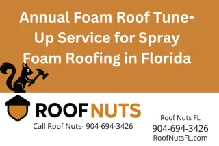 Florida Annual Spray Foam Roof Tune-Up & Maintenance | Roof Nuts FL